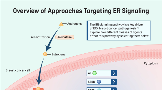 Overview_of_Approaches_Targeting_ER_Signaling